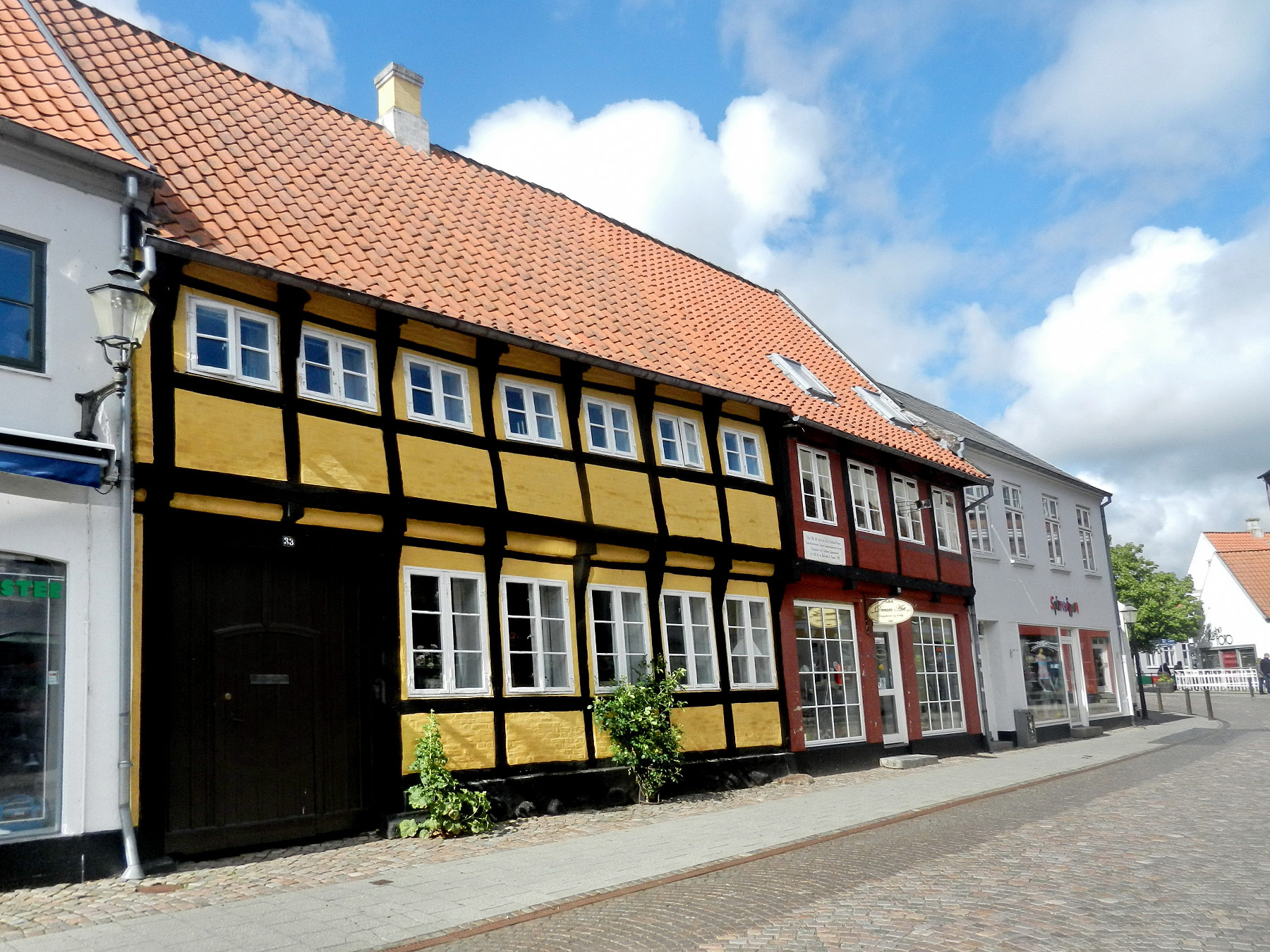 Ribe